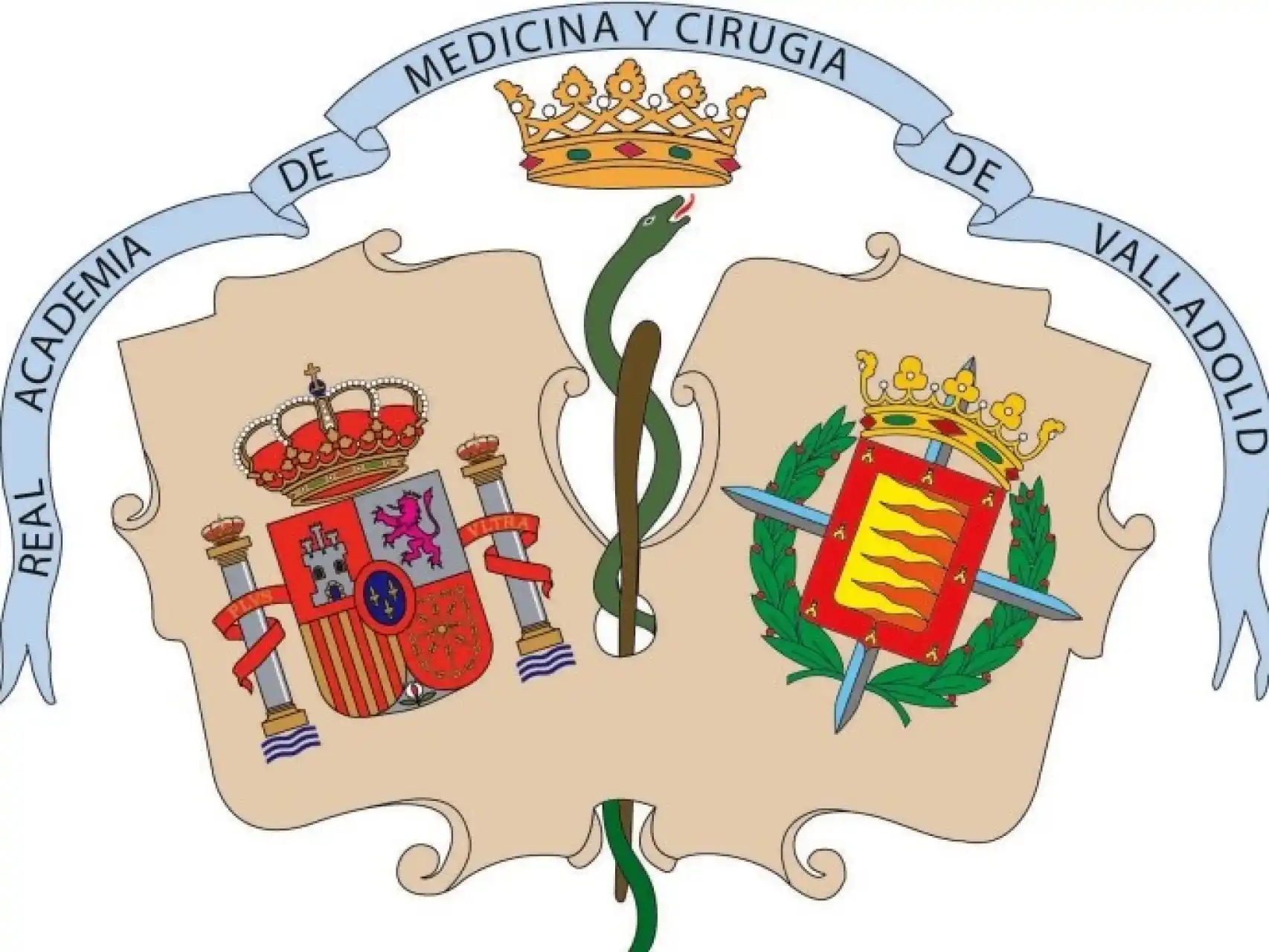 Real Academia de Medicina y Cirugía de Valladolid (RAMYCVA)