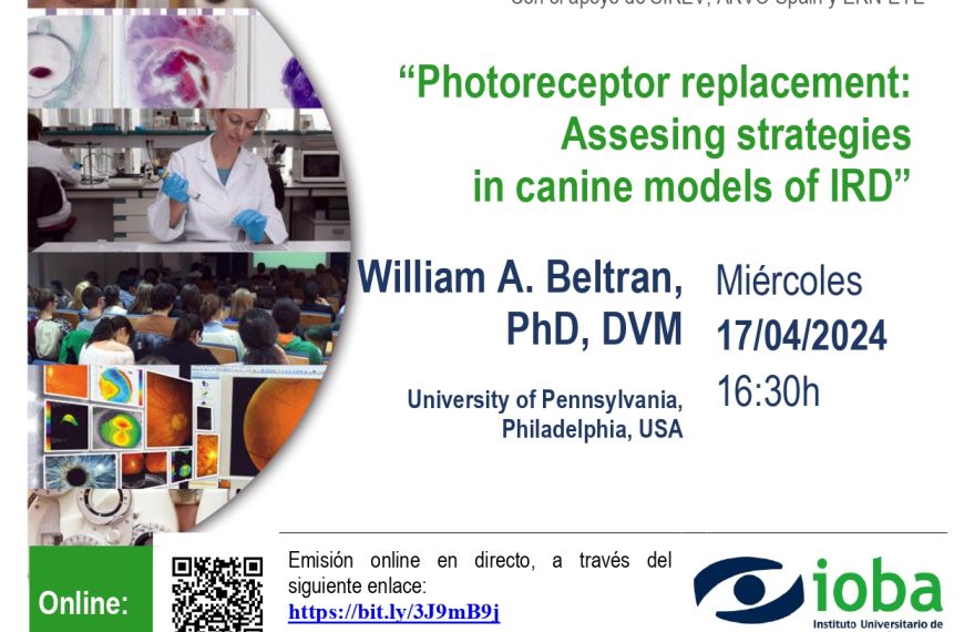 Seminario IOBA: «Photoreceptor replacement: Assesing strategiesin canine models of IRD» 17/04/24 – University of Pennsylvania, USA