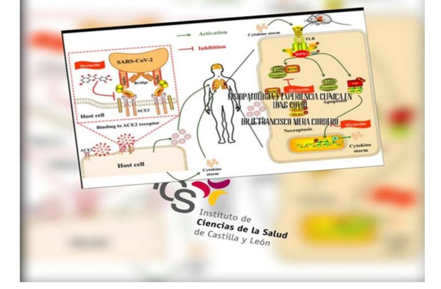 Fisiopatología y experiencia clínica en Long-covid