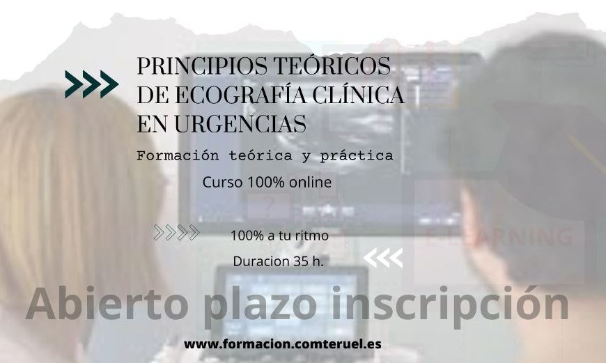 Curso online «PRINCIPIOS TEÓRICOS DE ECOGRAFÍA CLÍNICA EN URGENCIA»