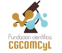 Fundación para la Formación del Consejo de Colegios Oficiales de Médicos de Castilla y León (CCOMCYL)