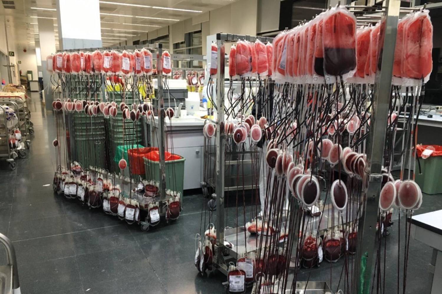 España ha superado el millón de donantes de sangre y plasma en 2025