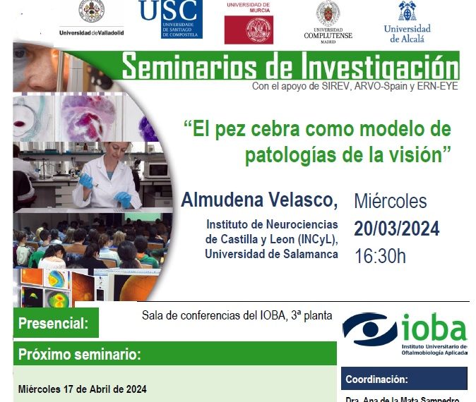 Seminario de investigación IOBA: «El pez cebra como modelo de patologías de la visión»
