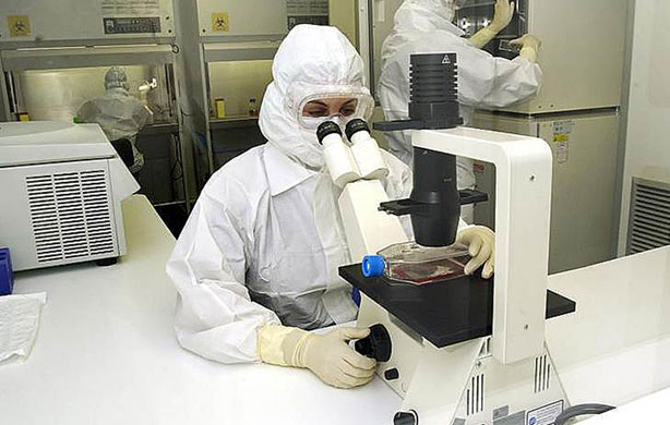 La FDA suspende un ensayo de Rocket Pharma con terapia génica por fallecimiento de un participante