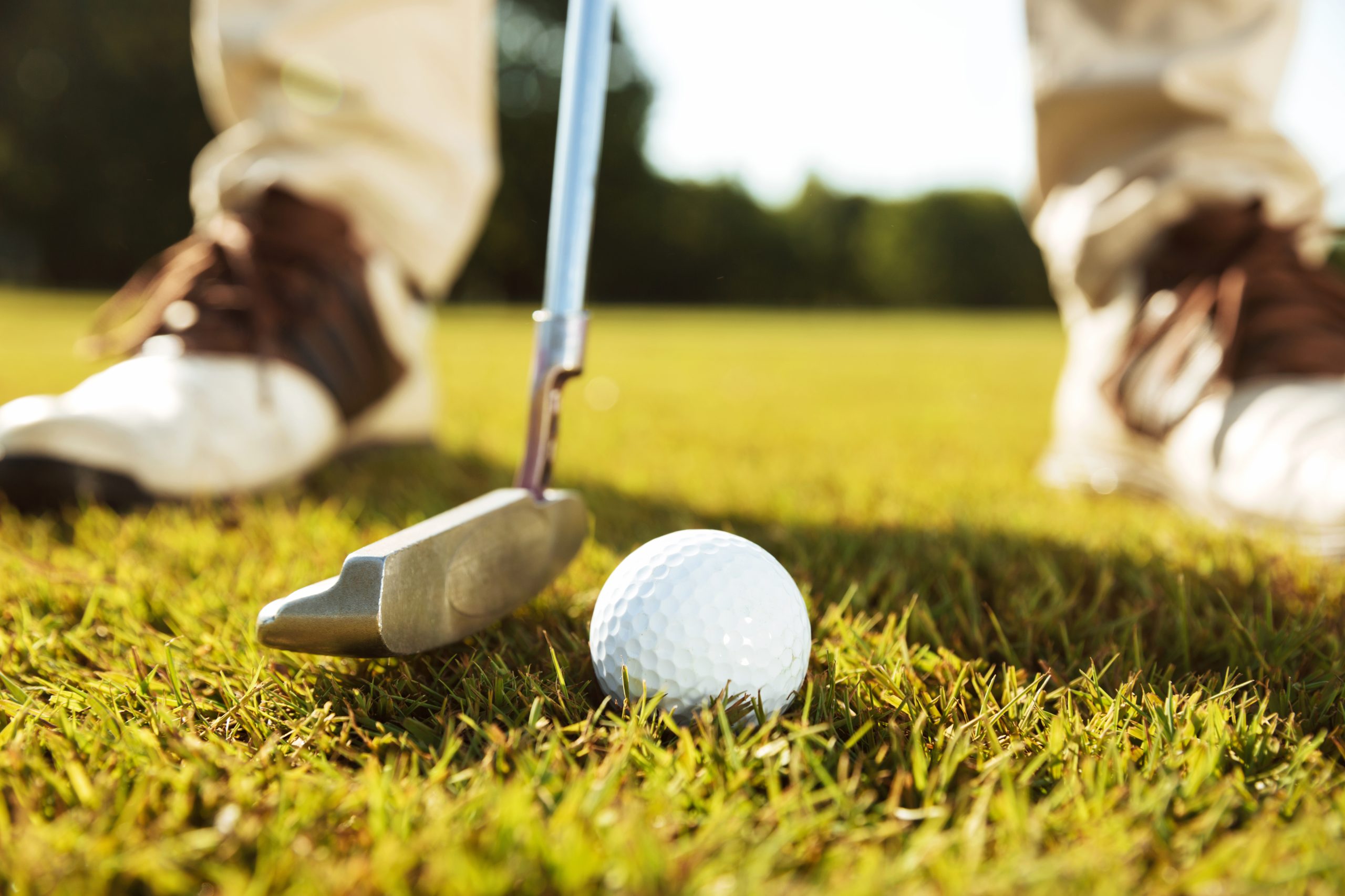TORNEO DE GOLF