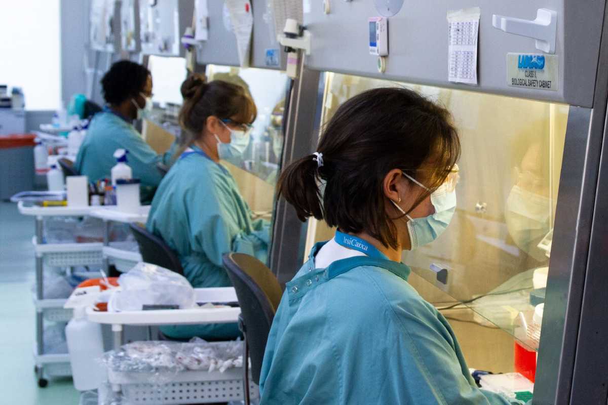 Trasplante de microbiota: resultados alentadores en fibromialgia