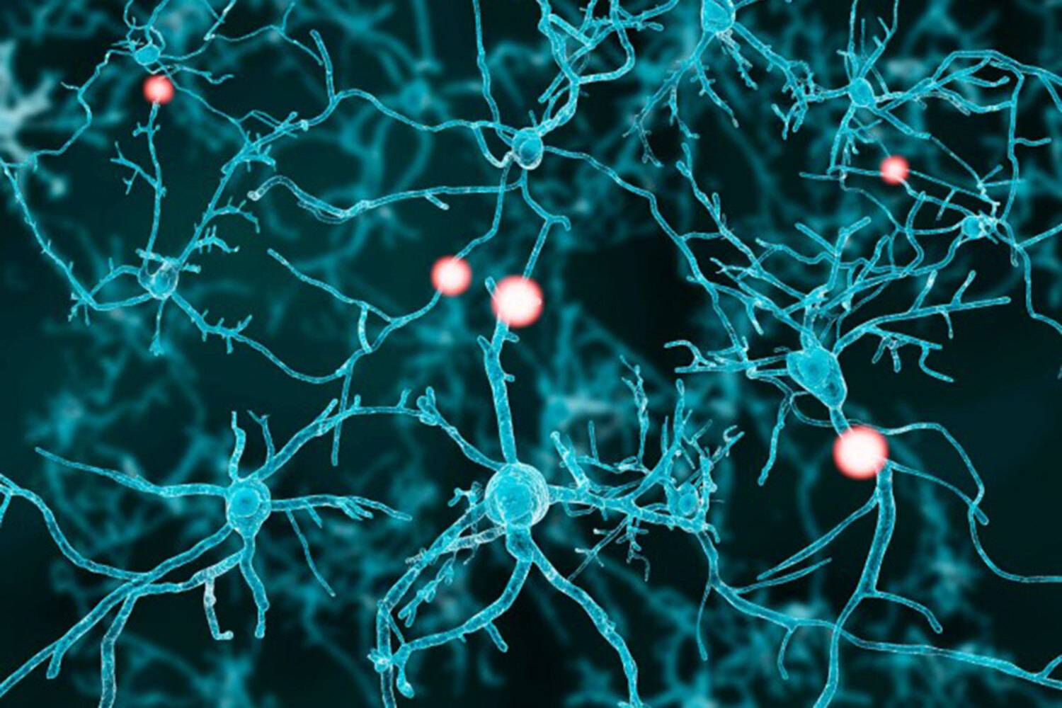 Un dispositivo robótico parece facilitar la recuperación neuromuscular en AME