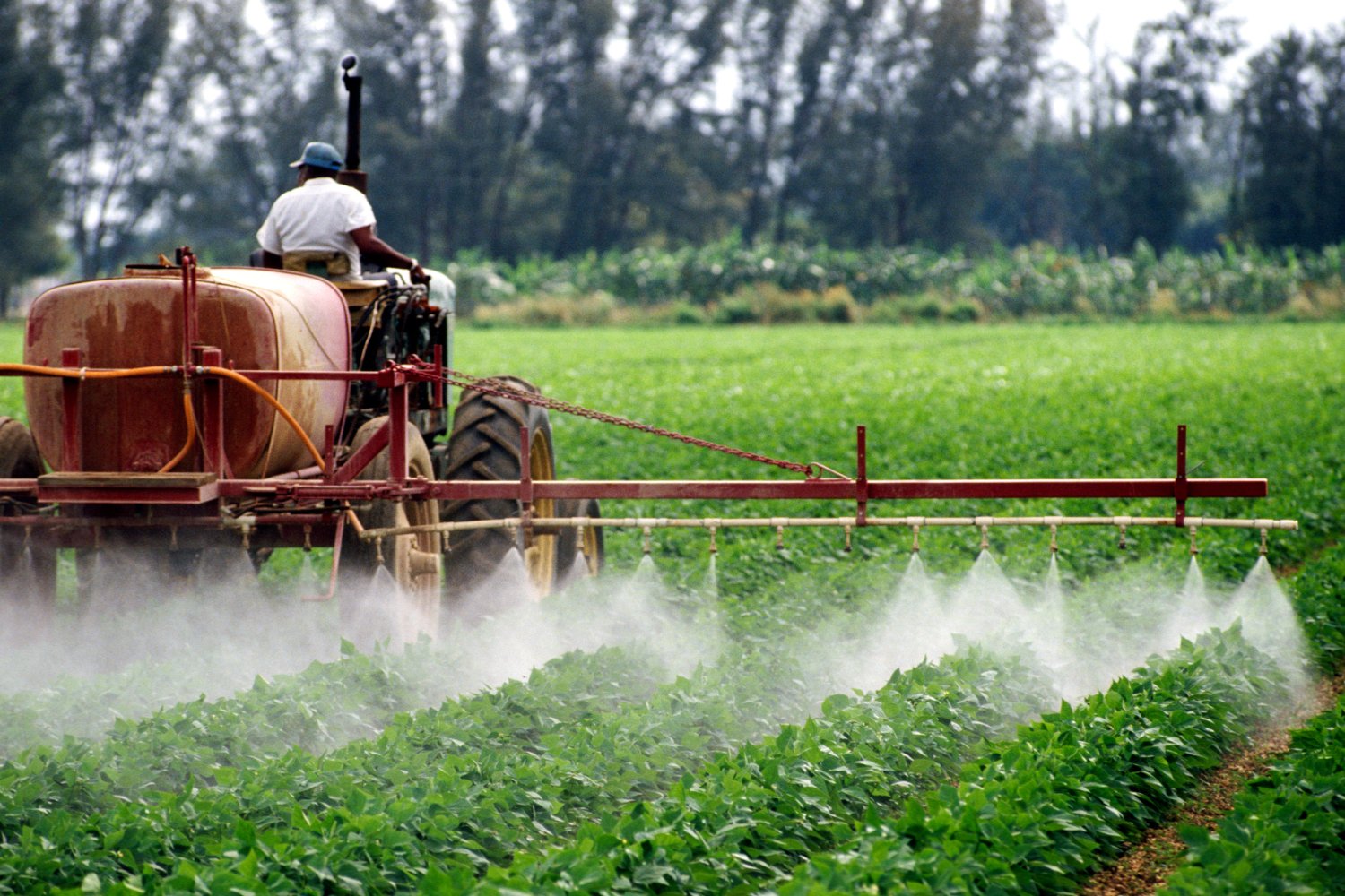 Un estudio del VHIO vincula cambios epigenéticos del tabaco, la dieta y ciertos pesticidas al cáncer colorrectal en jóvenes
